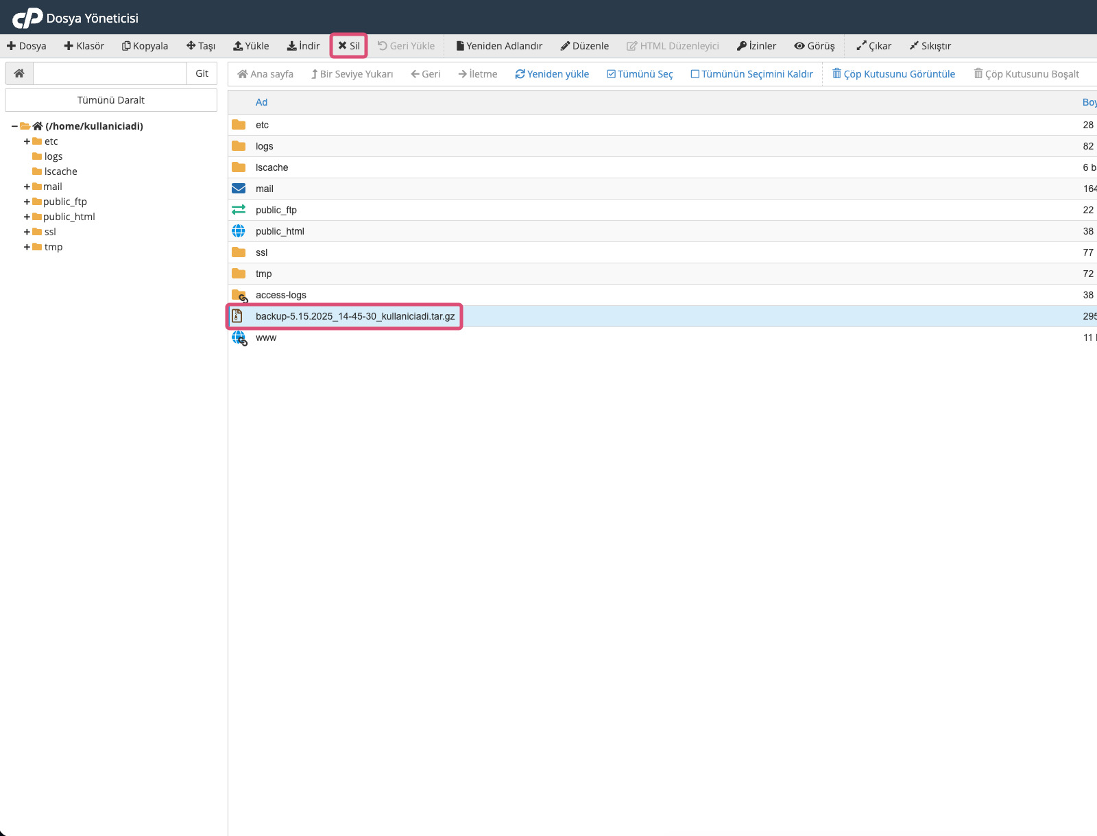 cPanel Dosya Yöneticisi