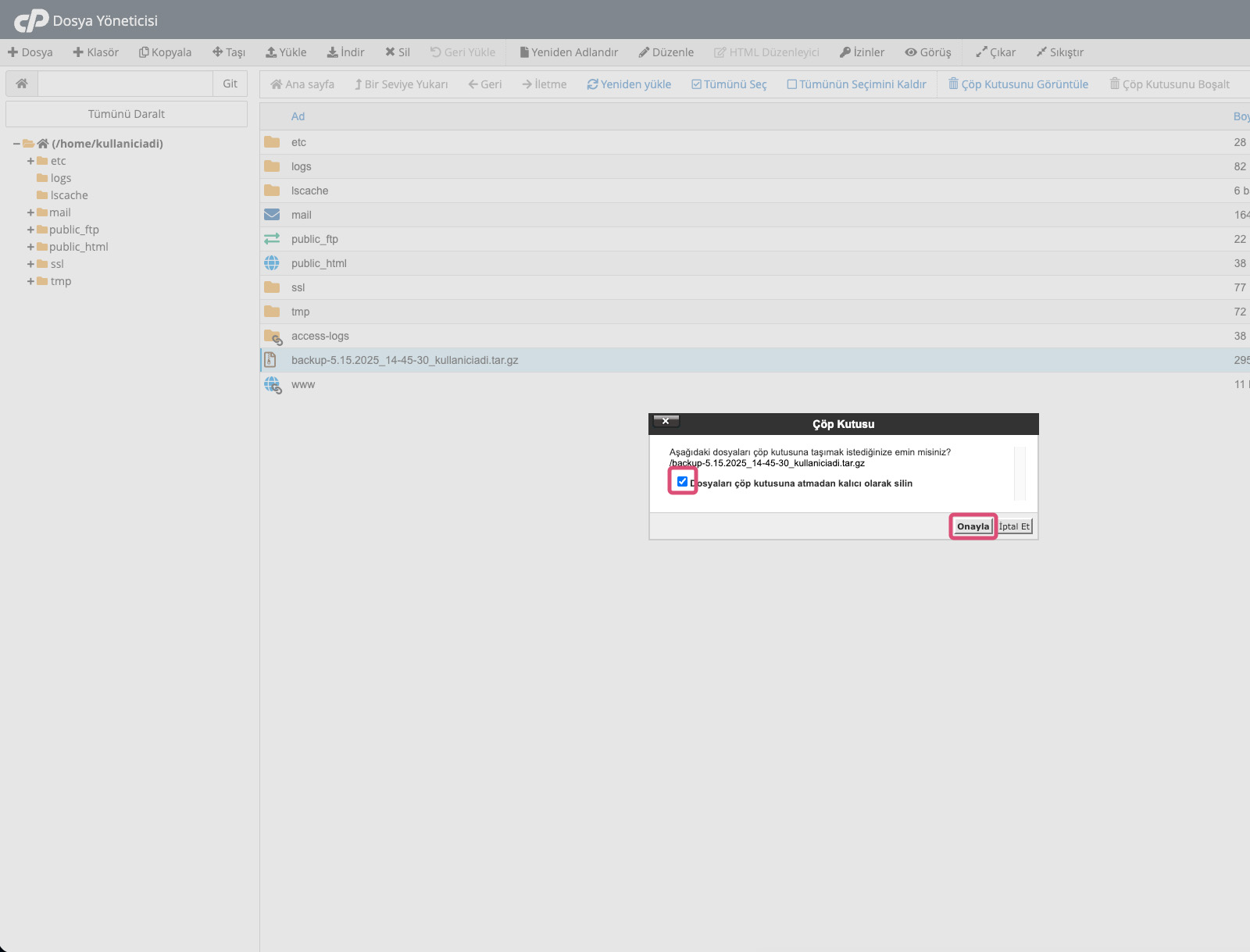 cPanel Dosya Yöneticisi